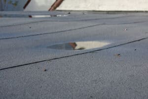 puddle on flat roof